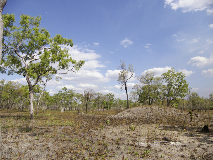Embley River Shell Mound