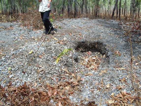 Hey River Shell mound