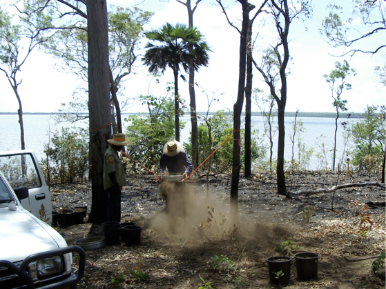 Sieving shell mound samples, Mission River